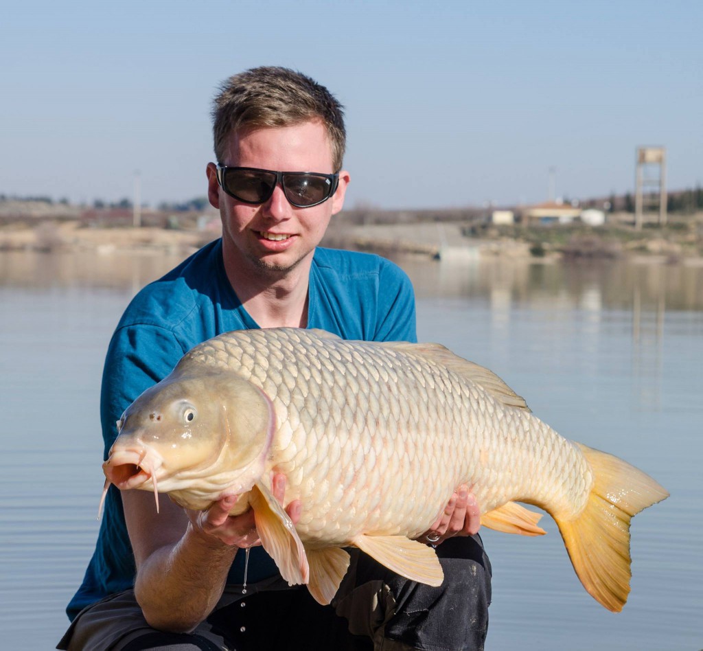 Ebro_niklas