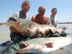 Super fishing! 143 catfish!