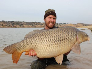 5x Ebro 40’s Part 1