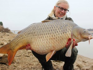 5x Ebro 40’s Part 2