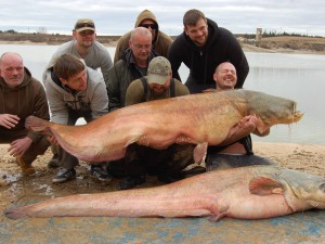 Big february cats!