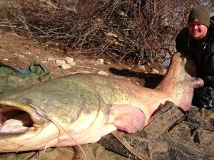 More February catfish