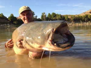 Cats and carp