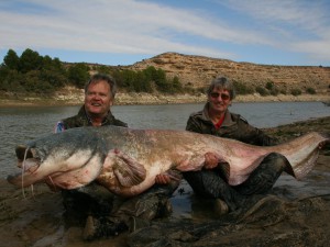 Massive fish to Swedish angler!