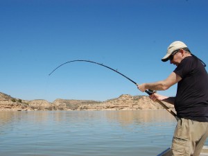 Spring succes for Danish anglers!