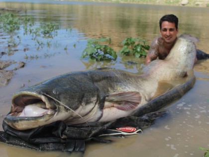 Charlie smashes it with a 205lb catfish