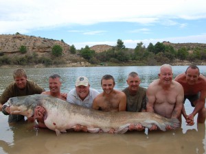 Big cats!