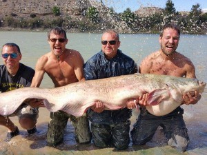 Nice weeks fishing