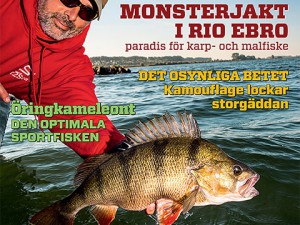 Big article in Fiske-feber