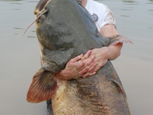 Norweigans catching big fish!