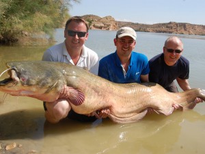 138 fish in one week!