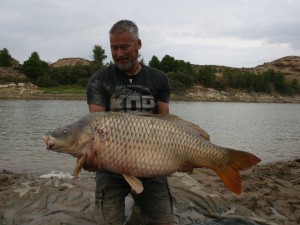 Massive carp!