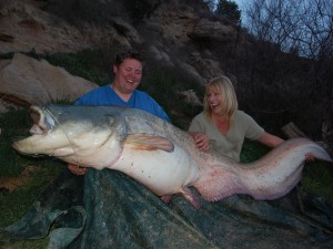 Great start for 2017 with a 206lb catfish