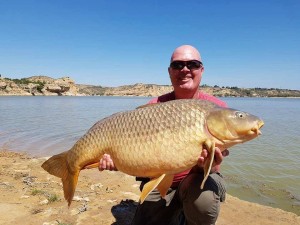 Big carp for Stew