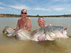 Big cats and Carp for Dutch anglers