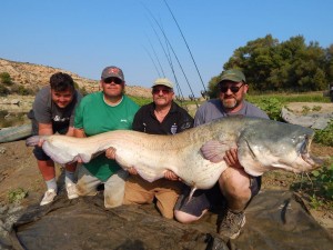 Strong flow, weed and big fish